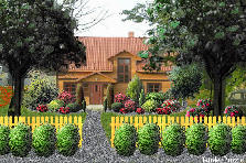 Garden design:Country Home