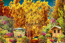 Garden design:This blazing old golden oak, lightens up the whole sky and the whole park as you enter. Friends will love this spot for sunny days, and laughter. Garden design:Golden Oak Park