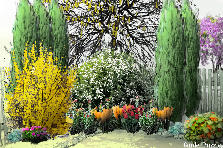 Garden design: Garden design:TFM