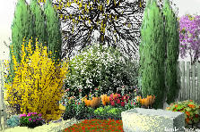 Garden design: Garden design:TFM