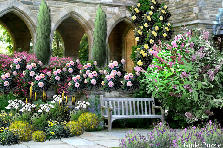 Garden design:European Garden
