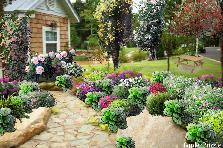 Garden design:path