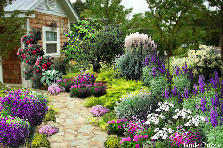 Garden design:Garden Path