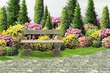 Garden design: Garden design:Park