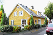 Garden design: Garden design:Yellow house
