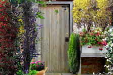 wood door - Autumn