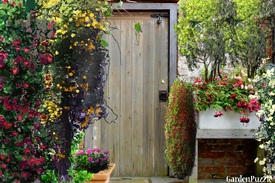 Garden design:wood door - Summer