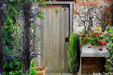 wood door - Winter