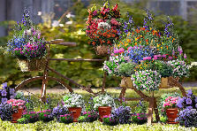 Garden design:Just an old bike