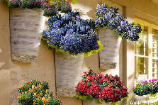 Garden design:Just a decoration along the stone path walkway, over hung by a porch, to the back door, from the garden. It is not far from lovely garden chairs and a table set for friends, and just over there is a beautiful old style homemade gazebo built over a serine pond. Lot's of stone paths and benchs along the way for my dear friends, so please come by and have a tea time afternoon, and chat, complete with giggles, and good food. Garden design:hanging flower baskets