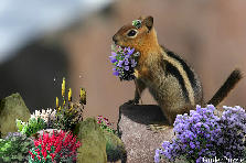 Garden design:Bring On Spring