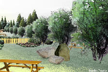Garden design: Garden design:Rustic Recreation