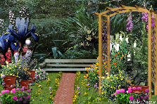 Garden design:-- Garden design:the back yard