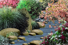 Garden design: Garden design:Youth