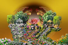 Garden design:Pink Roses In Paradise