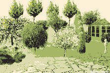 Garden design:Throught the trees next door is where it is wild Garden design:Next Door