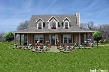 front yard - Summer