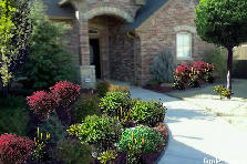David's House - Summer