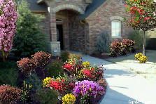 David's House - Spring