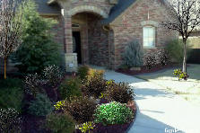 David's House - Winter