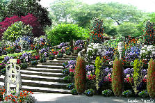 Garden design:A long time ago, an 18 year old girl, the only child of a king, walked these stairs and into this garden. It was made for her by her father. She was in love with a commoner. She would enter the garden and wait for him in the day and night. They would walk together under sunlight and the light of the moon. Very much in love, on her 18th BD, they planned to elope. She entered the garden and waited all day and night. However, he never came. Cont. below Garden design:Old stairs to an ancient love garden