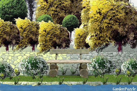 Garden design:blank - Autumn