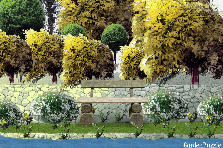 Garden design:blank