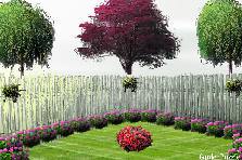 Garden design:why must i think of a name?