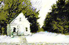 Garden design:winter