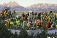 Garden design:Fall time when the leaves change and you can smell a hint of rain or chill in the air. Garden design:fall in the mountains