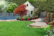 Garden design:Lawn