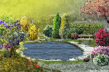 Garden design: Garden design:Lago