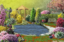 Garden design: Garden design:Lago