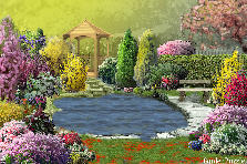 Garden design: Garden design:Lago