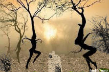 Garden design:Dance of life