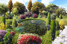 Garden design:Enjoy the wetlands that are so fertile with life and have stood here long beforfe we were ever here. Garden design:Wetlands