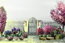 Garden design: Garden design:Front Yard