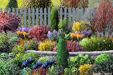 Garden design:To Winter with Love