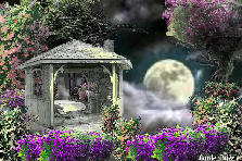 Garden design:IN THE LIGHT OF THE MOON