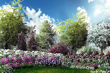 Garden design:Lines