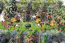 Garden design:three gazebo lane