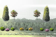 Garden design:it is symmetric because they are duplicate of each other on the other side
Garden design:meron gizaw symmetris