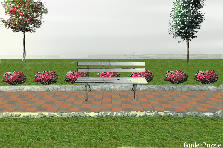 Garden design:This represents focalization because the focus point of the image is the bench and the plants lead the eye towards the bench. Garden design:Aspen Copsis - focalization of interest