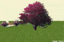 Garden design:The simplicity in this design speaks for its self. I closely modled it after a park that i went to when i was youngg, and i believes that it embodies the spirit of simplicity. Garden design:Gabriel.Pierfelice Simple