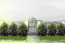 Garden design:I chose to put down grass and a few butterfly bushes. I didnt want to add color because i think it takes away from the simplicity idea. Garden design:Gabby Zendan-simplicity