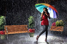 Garden design: Garden design:Singing In The Rain