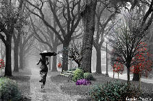 Garden design: Garden design:Mono Colors of Summer Rain