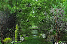Pockets - Winter