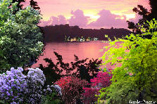 Garden design: Garden design:pink Sunset