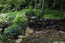 Garden design:NoWhere